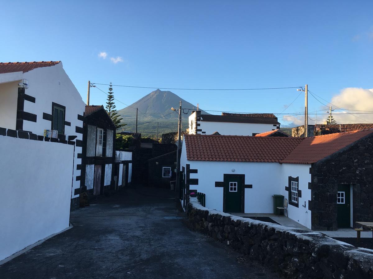 Willa Casa Do Avo Cristiano Madalena  Zewnętrze zdjęcie